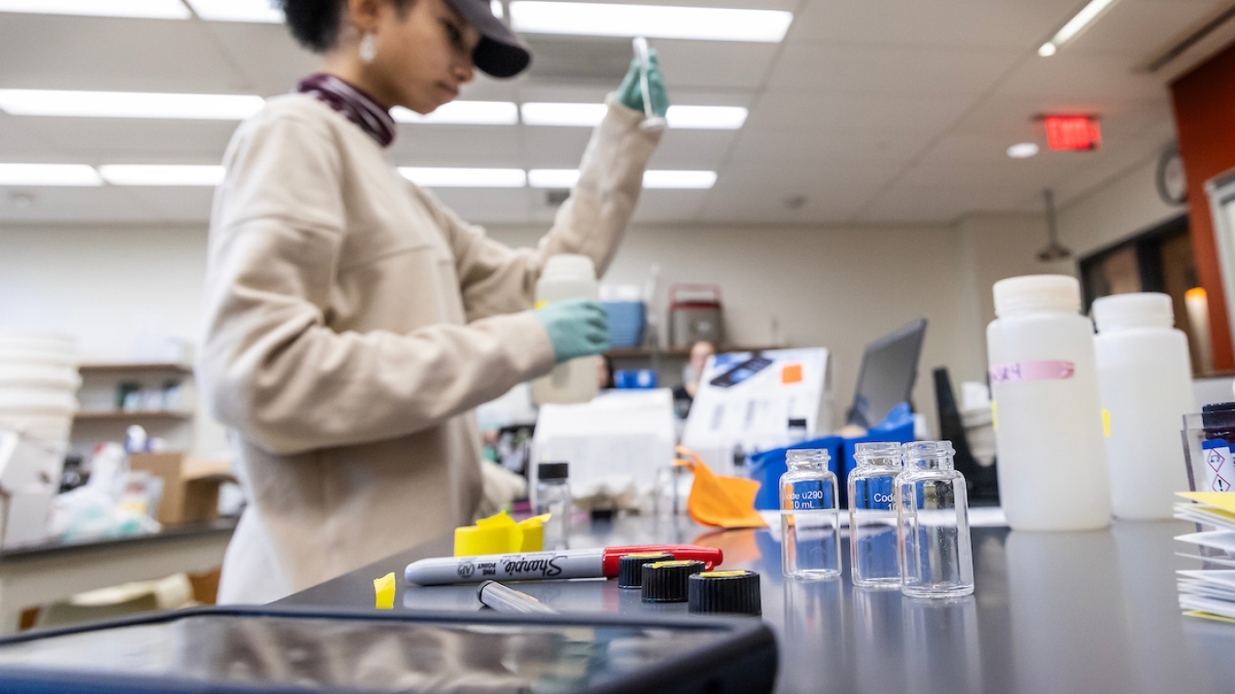 Environmental Studies Davidson